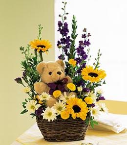 Basket & Bear Arrangement