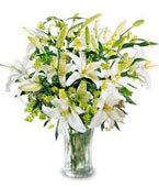 USA Love & Romance USA,,:The FTD Lilies and More ? Bouquet