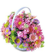 USA New Baby USA,,:The FTD Shades Of Purple? Bouquet