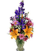 Nova Scotia Congratulations Nova Scotia,Nova Scotia,NS:The FTD Floral Festival? Bouquet
