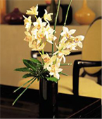 USA Get Well USA,,:Artful Orchids