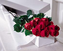 The FTD?One Dozen Boxed Roses