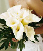 USA Wedding USA,,:The FTD Calla Lilies Bouquet