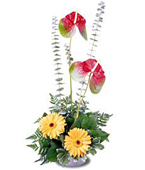 USA Tropical USA,,:The FTD Blazing Beauty? Bouquet