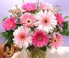  China Flower China Florist  China  Flowers shop China flower delivery online  ,China:SB for all China 12